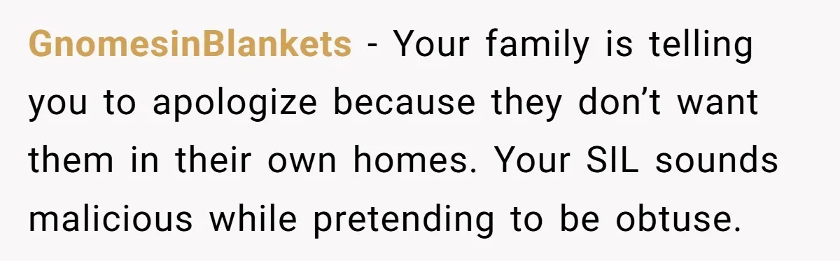 GnomesinBlankets − Your family is telling you to apologize because they don’t want them in their own homes. Your SIL sounds malicious while pretending to be obtuse.