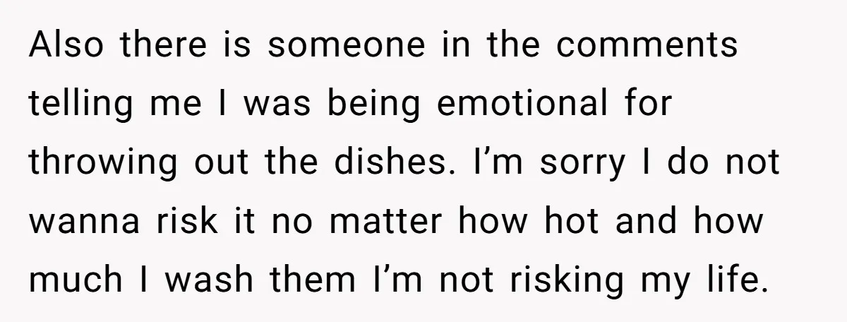Also there is someone in the comments telling me I was being emotional for throwing out the dishes. I’m sorry I do not wanna risk it no matter how hot...
