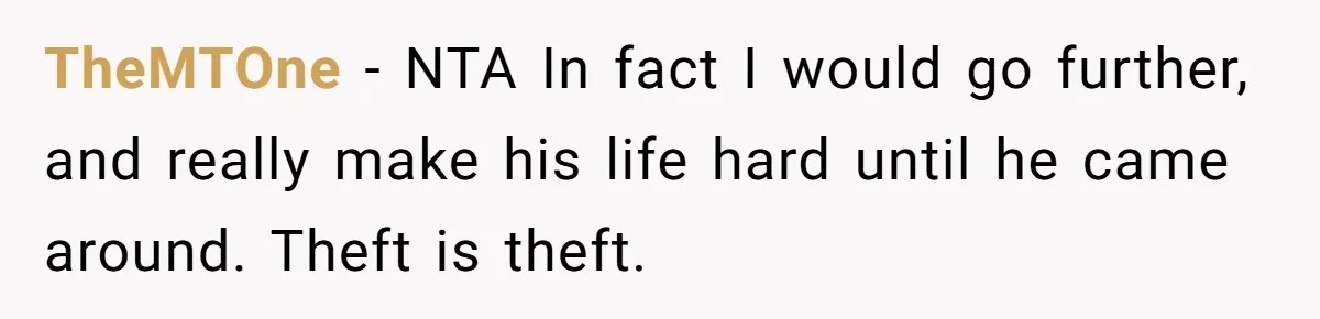 TheMTOne − NTA In fact I would go further, and really make his life hard until he came around. Theft is theft.