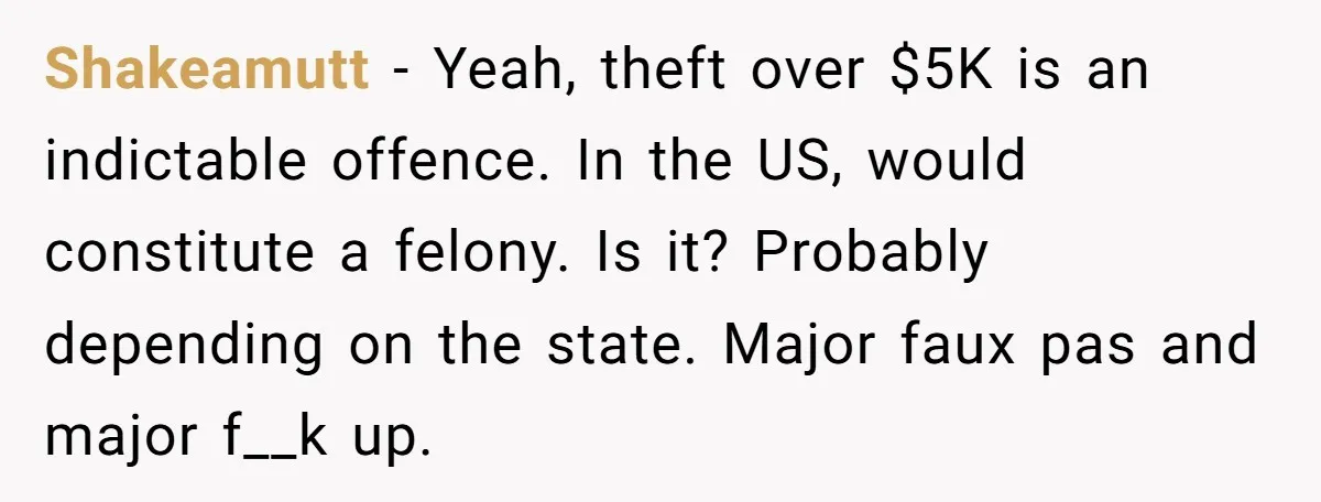 Shakeamutt − Yeah, theft over $5K is an indictable offence. In the US, would constitute a felony. Is it? Probably depending on the state. Major faux pas and major f__k...
