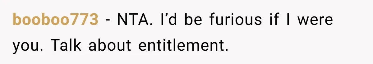 booboo773 − NTA. I’d be furious if I were you. Talk about entitlement.