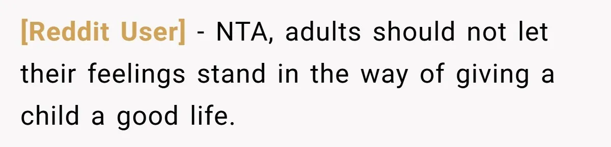 [Reddit User] − NTA, adults should not let their feelings stand in the way of giving a child a good life.