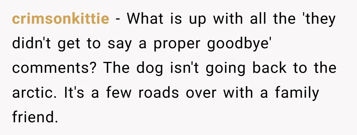 crimsonkittie − What is up with all the 'they didn't get to say a proper goodbye' comments? The dog isn't going back to the arctic. It's a few roads over...