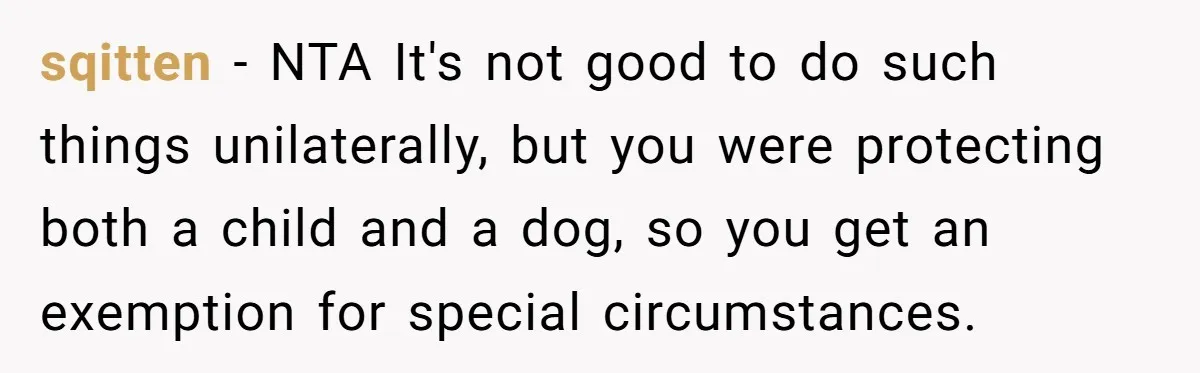 sqitten − NTA It's not good to do such things unilaterally, but you were protecting both a child and a dog, so you get an exemption for special circumstances.