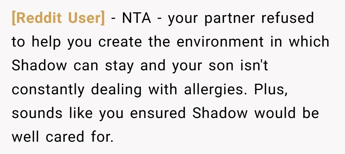 [Reddit User] − NTA - your partner refused to help you create the environment in which Shadow can stay and your son isn't constantly dealing with allergies. Plus, sounds like...
