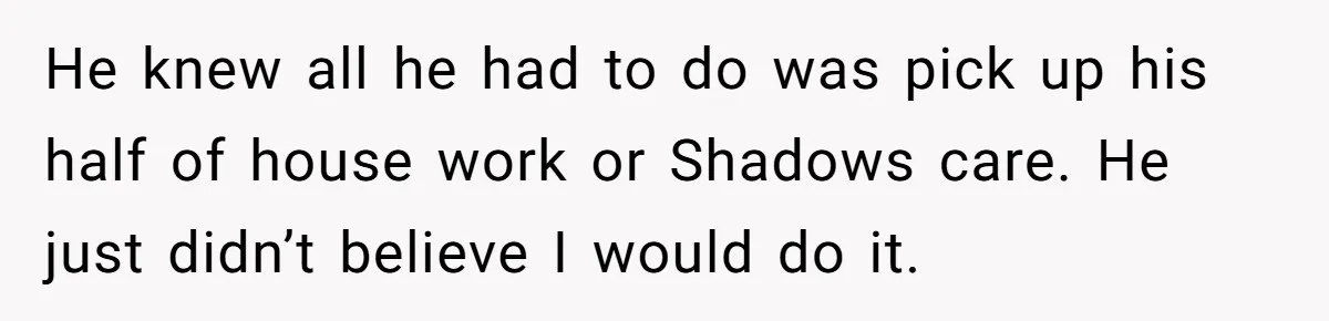 He knew all he had to do was pick up his half of house work or Shadows care. He just didn’t believe I would do it.