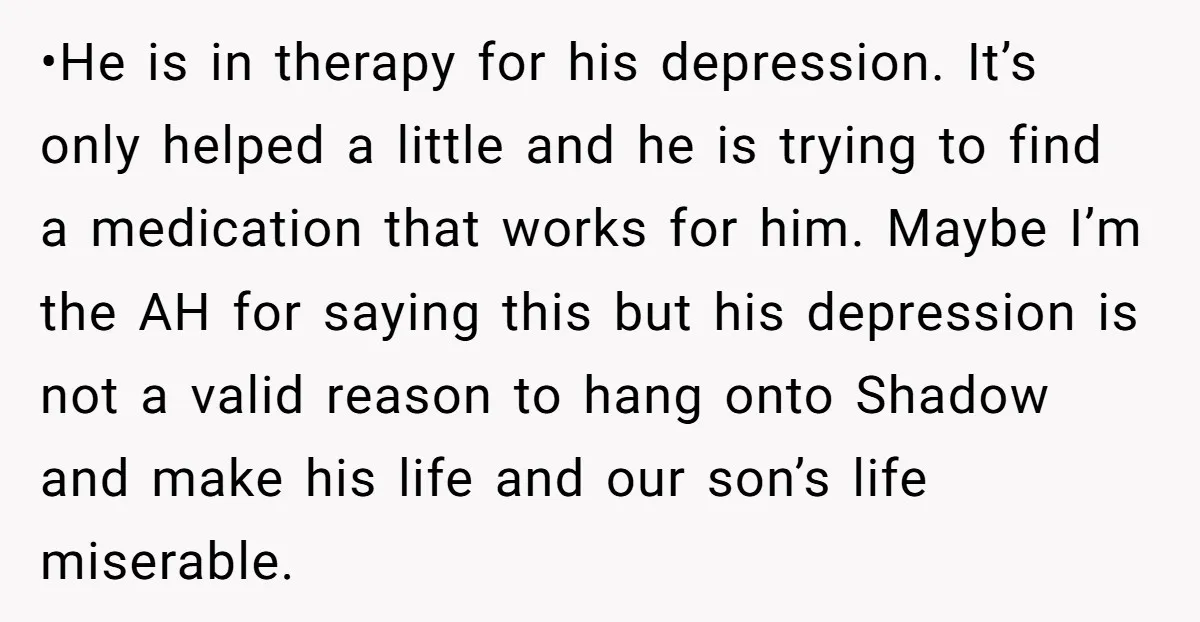 •He is in therapy for his depression. It’s only helped a little and he is trying to find a medication that works for him. Maybe I’m the AH for saying...