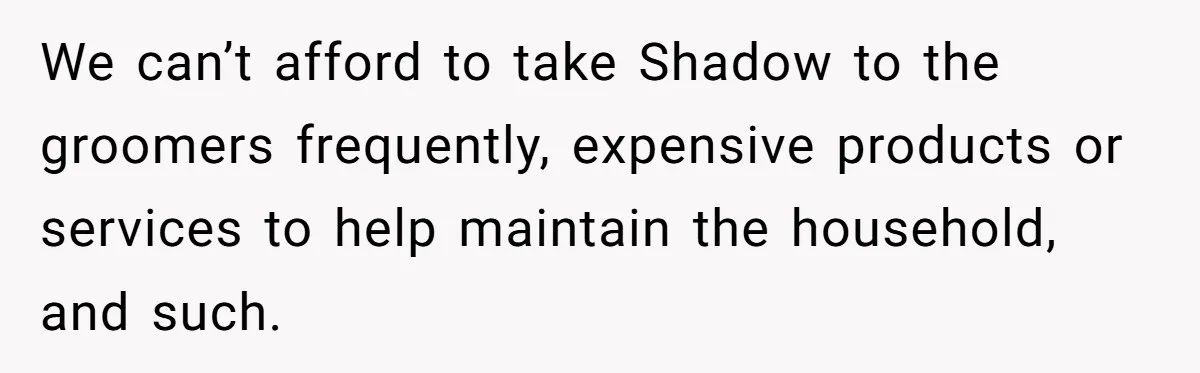 We can’t afford to take Shadow to the groomers frequently, expensive products or services to help maintain the household, and such.