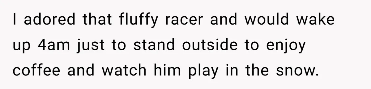 I adored that fluffy racer and would wake up 4am just to stand outside to enjoy coffee and watch him play in the snow.