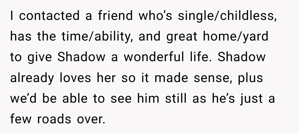 I contacted a friend who’s single/childless, has the time/ability, and great home/yard to give Shadow a wonderful life. Shadow already loves her so it made sense, plus we’d be able...