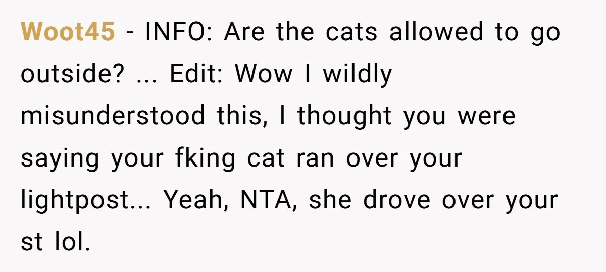 Woot45 − INFO: Are the cats allowed to go outside? ... Edit: Wow I wildly misunderstood this, I thought you were saying your fking cat ran over your lightpost... Yeah,...