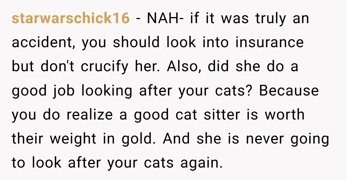 starwarschick16 − NAH- if it was truly an accident, you should look into insurance but don't crucify her. Also, did she do a good job looking after your cats? Because...