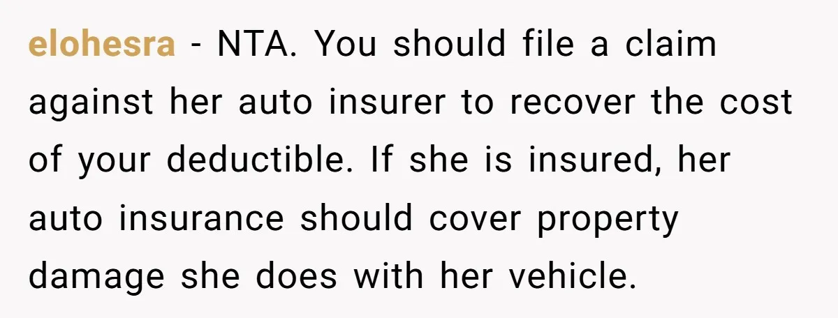elohesra − NTA. You should file a claim against her auto insurer to recover the cost of your deductible. If she is insured, her auto insurance should cover property damage...
