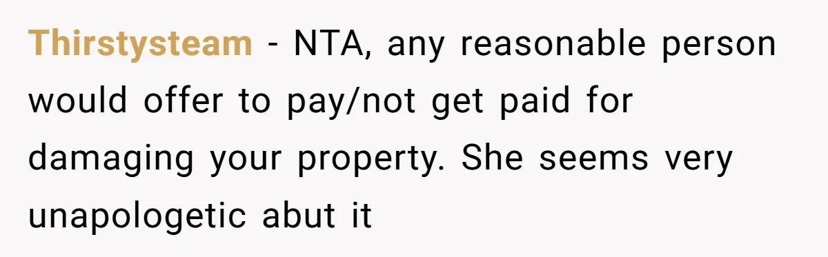 Thirstysteam − NTA, any reasonable person would offer to pay/not get paid for damaging your property. She seems very unapologetic abut it