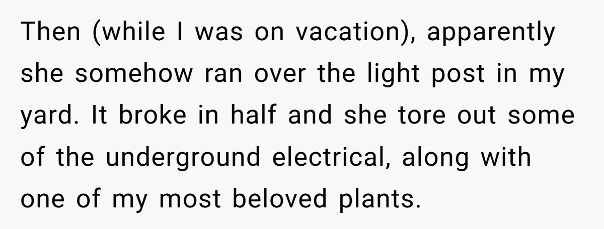 Then (while I was on vacation), apparently she somehow ran over the light post in my yard. It broke in half and she tore out some of the underground electrical,...
