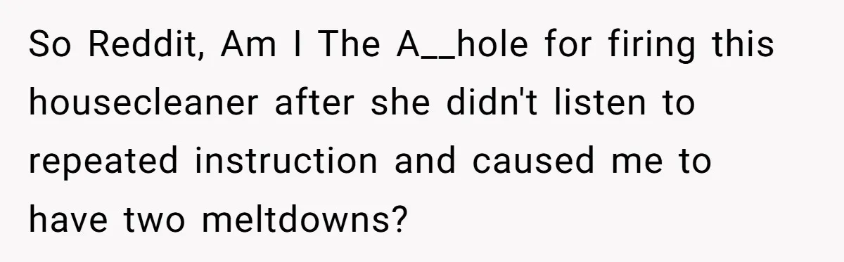 So Reddit, Am I The A__hole for firing this housecleaner after she didn't listen to repeated instruction and caused me to have two meltdowns?