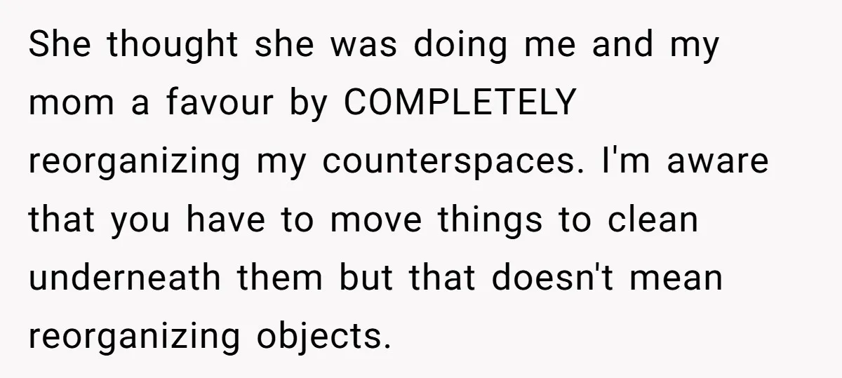 She thought she was doing me and my mom a favour by COMPLETELY reorganizing my counterspaces. I'm aware that you have to move things to clean underneath them but that...