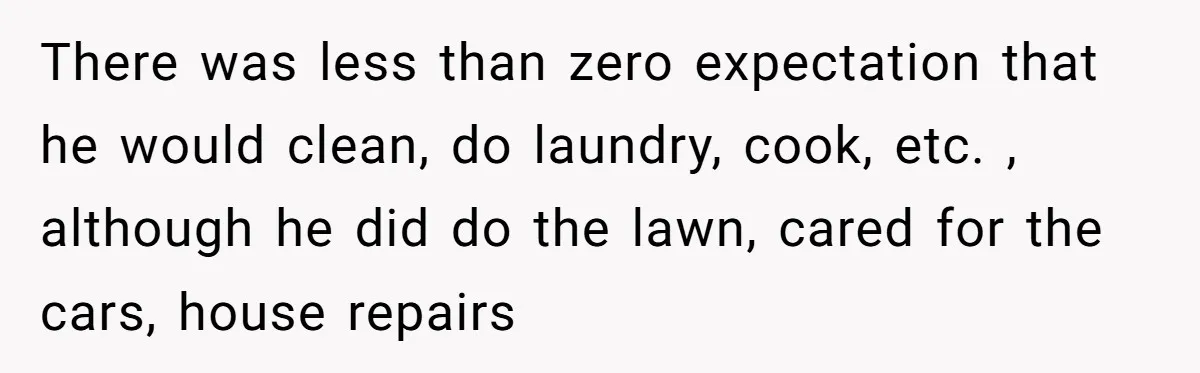 There was less than zero expectation that he would clean, do laundry, cook, etc. , although he did do the lawn, cared for the cars, house repairs