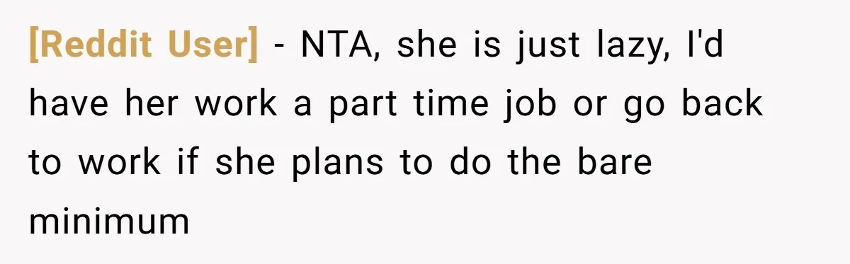 [Reddit User] − NTA, she is just lazy, I'd have her work a part time job or go back to work if she plans to do the bare minimum