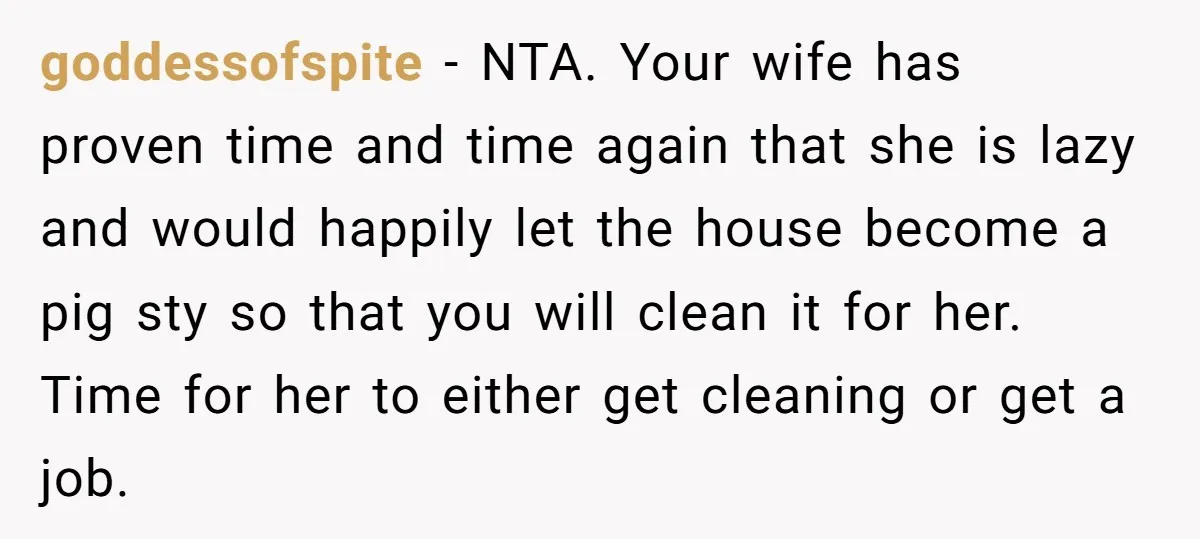 goddessofspite − NTA. Your wife has proven time and time again that she is lazy and would happily let the house become a pig sty so that you will clean...