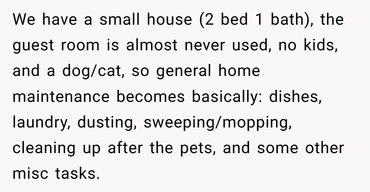 We have a small house (2 bed 1 bath), the guest room is almost never used, no kids, and a dog/cat, so general home maintenance becomes basically: dishes, laundry, dusting,...
