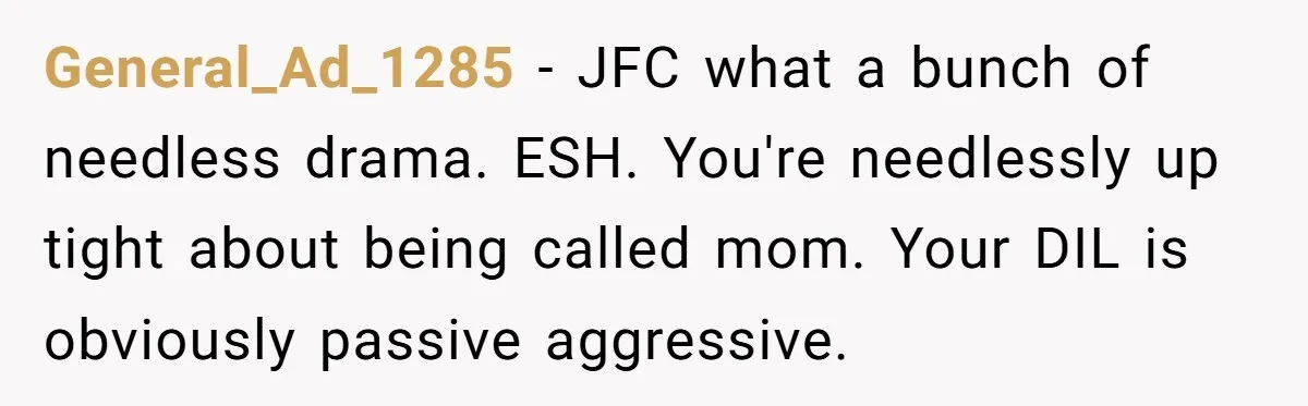 General_Ad_1285 − JFC what a bunch of needless drama. ESH. You're needlessly up tight about being called mom. Your DIL is obviously passive aggressive.