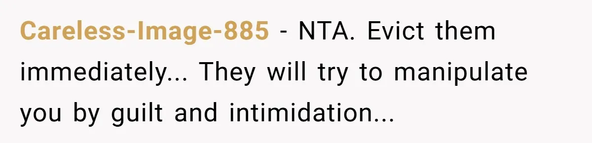 Careless-Image-885 − NTA. Evict them immediately... They will try to manipulate you by guilt and intimidation...