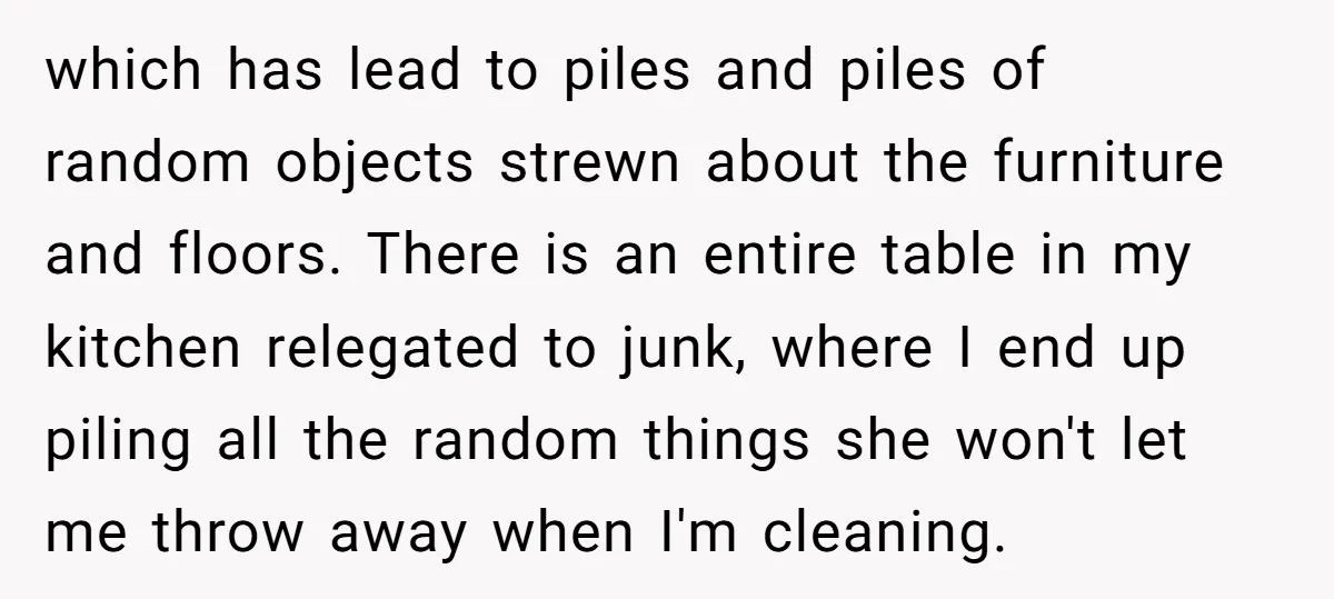 which has lead to piles and piles of random objects strewn about the furniture and floors. There is an entire table in my kitchen relegated to junk, where I end...
