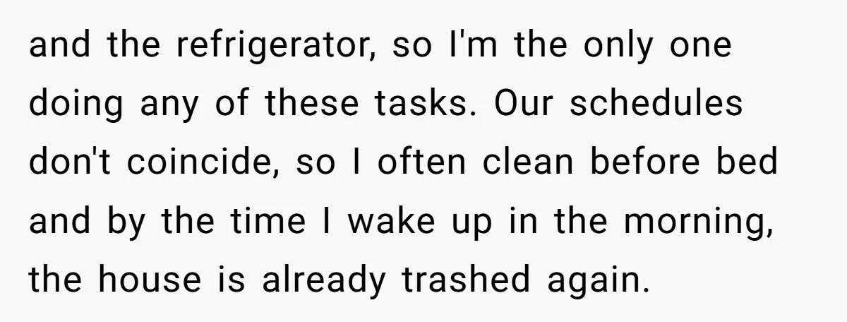 and the refrigerator, so I'm the only one doing any of these tasks. Our schedules don't coincide, so I often clean before bed and by the time I wake up...