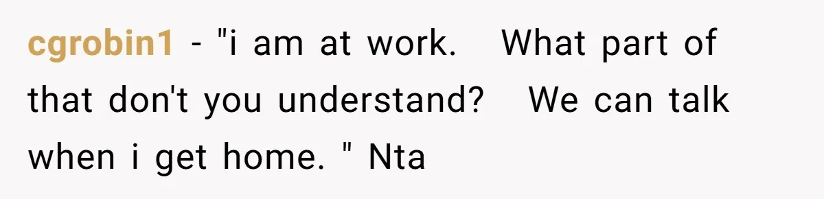 cgrobin1 − "i am at work.   What part of that don't you understand?   We can talk when i get home. " Nta
