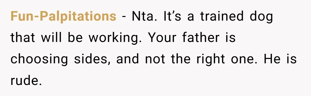 Fun-Palpitations − Nta. It’s a trained dog that will be working. Your father is choosing sides, and not the right one. He is rude.
