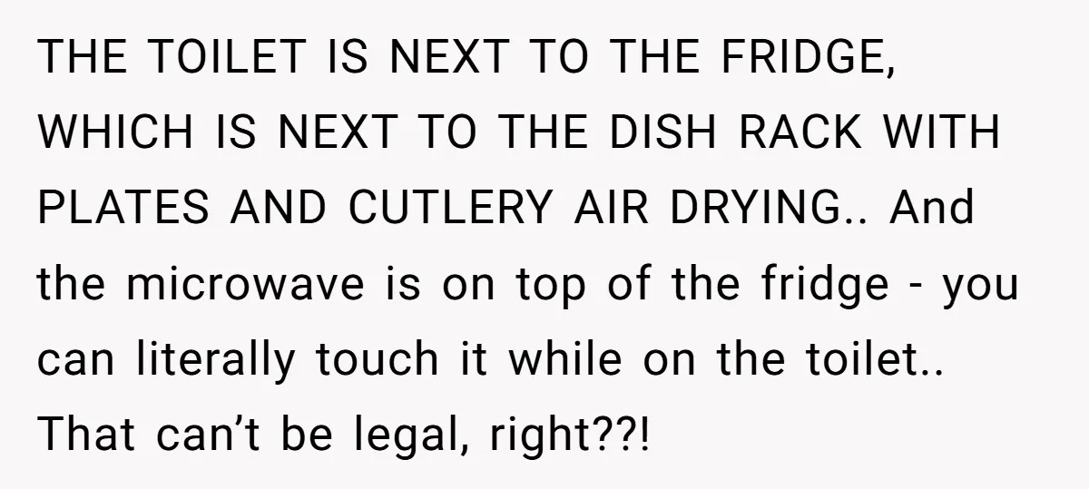 THE TOILET IS NEXT TO THE FRIDGE, WHICH IS NEXT TO THE DISH RACK WITH PLATES AND CUTLERY AIR DRYING.. And the microwave is on top of the fridge -...