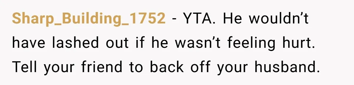 Sharp_Building_1752 − YTA. He wouldn’t have lashed out if he wasn’t feeling hurt. Tell your friend to back off your husband.