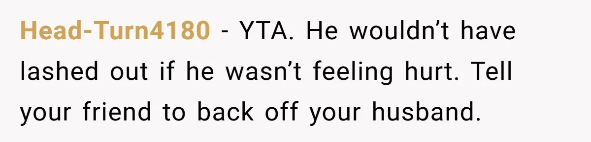 Head-Turn4180 − YTA. He wouldn’t have lashed out if he wasn’t feeling hurt. Tell your friend to back off your husband.
