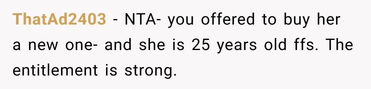 ThatAd2403 − NTA- you offered to buy her a new one- and she is 25 years old ffs. The entitlement is strong.