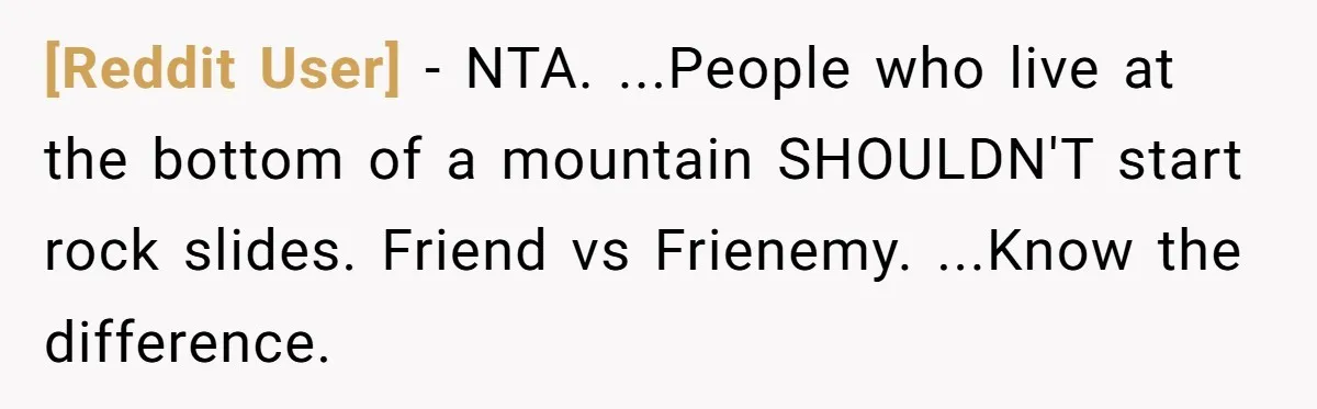 [Reddit User] − NTA. ...People who live at the bottom of a mountain SHOULDN'T start rock slides. Friend vs Frienemy. ...Know the difference.