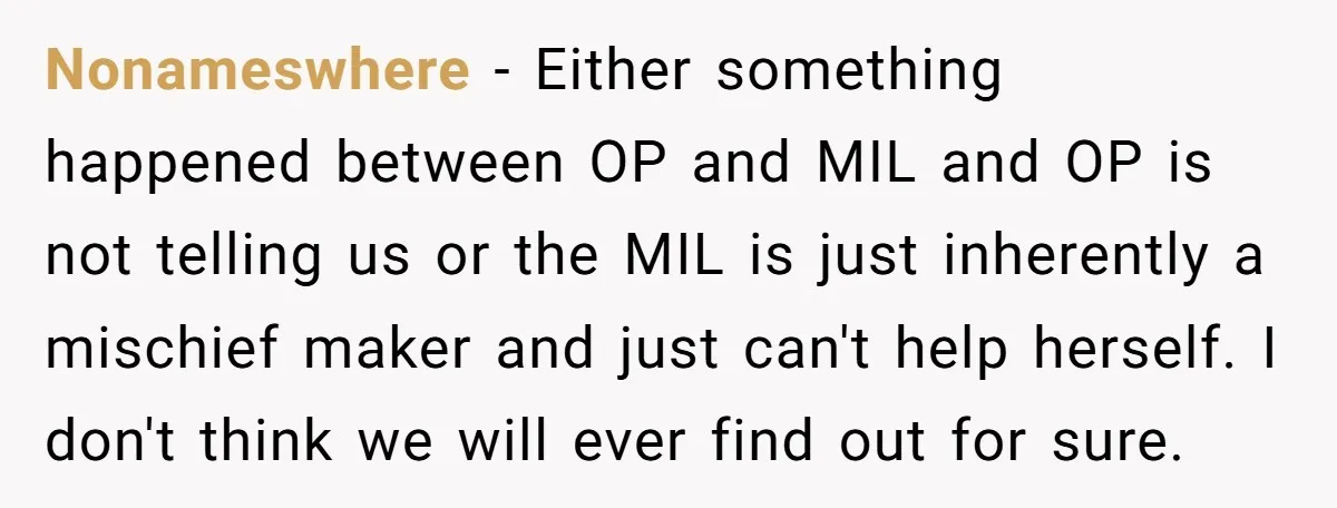 Nonameswhere − Either something happened between OP and MIL and OP is not telling us or the MIL is just inherently a mischief maker and just can't help herself. I...
