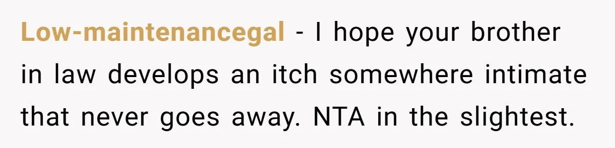 Low-maintenancegal − I hope your brother in law develops an itch somewhere intimate that never goes away. NTA in the slightest.