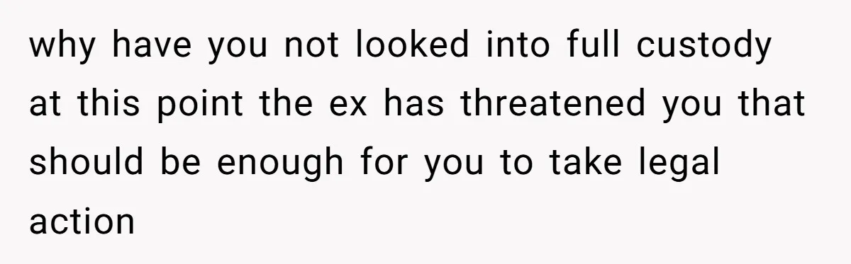 why have you not looked into full custody at this point the ex has threatened you that should be enough for you to take legal action