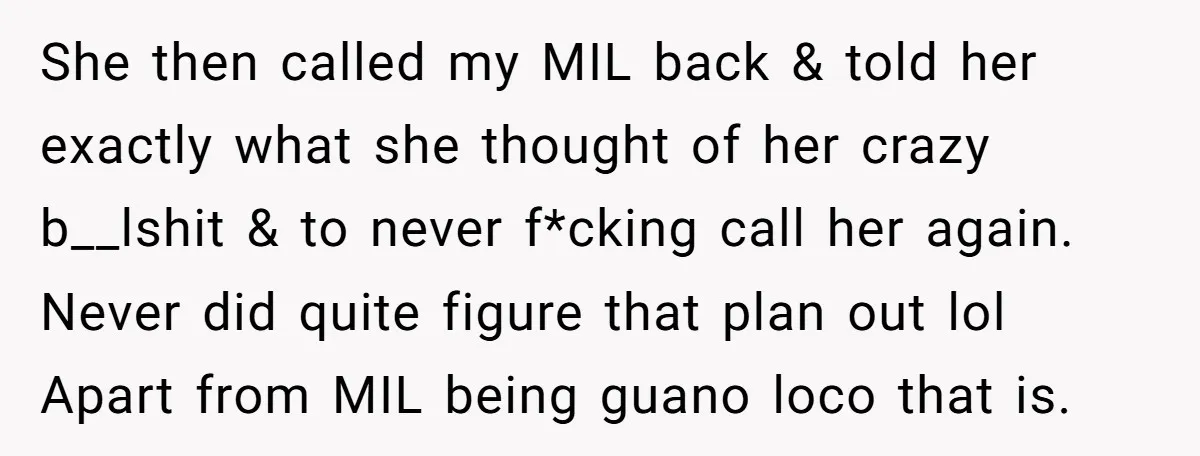 She then called my MIL back & told her exactly what she thought of her crazy b__lshit & to never f*cking call her again. Never did quite figure that plan...