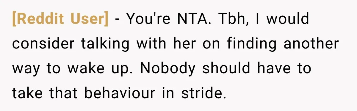 [Reddit User] − You're NTA. Tbh, I would consider talking with her on finding another way to wake up. Nobody should have to take that behaviour in stride.
