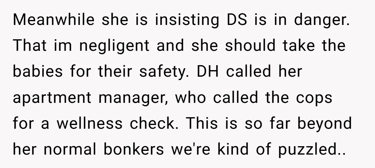 Meanwhile she is insisting DS is in danger. That im negligent and she should take the babies for their safety. DH called her apartment manager, who called the cops for...