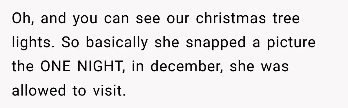 Oh, and you can see our christmas tree lights. So basically she snapped a picture the ONE NIGHT, in december, she was allowed to visit.