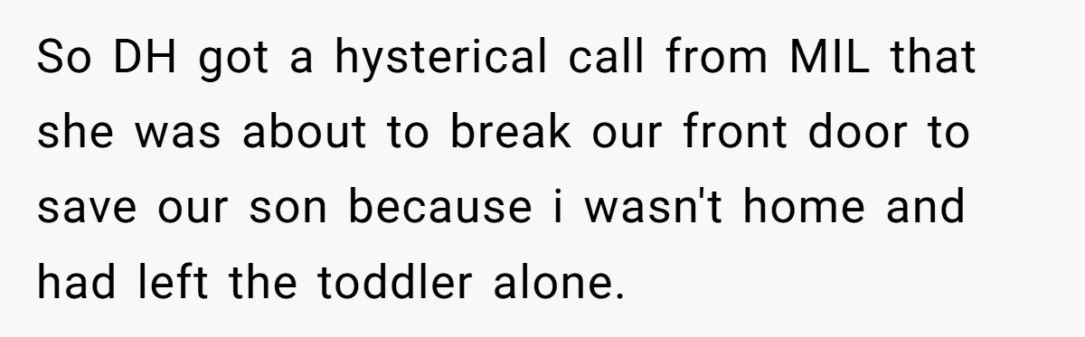 So DH got a hysterical call from MIL that she was about to break our front door to save our son because i wasn't home and had left the toddler...
