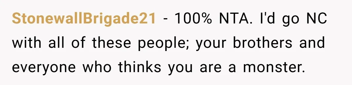 StonewallBrigade21 − 100% NTA. I'd go NC with all of these people; your brothers and everyone who thinks you are a monster.