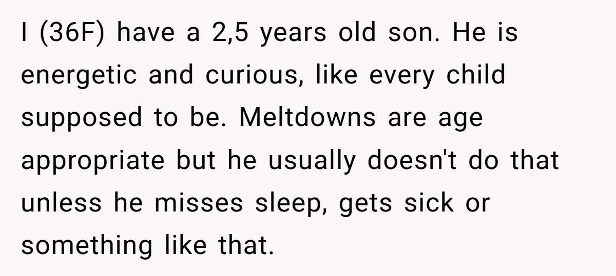 I (36F) have a 2,5 years old son. He is energetic and curious, like every child supposed to be. Meltdowns are age appropriate but he usually doesn't do that unless...