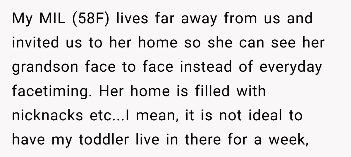 My MIL (58F) lives far away from us and invited us to her home so she can see her grandson face to face instead of everyday facetiming. Her home is...