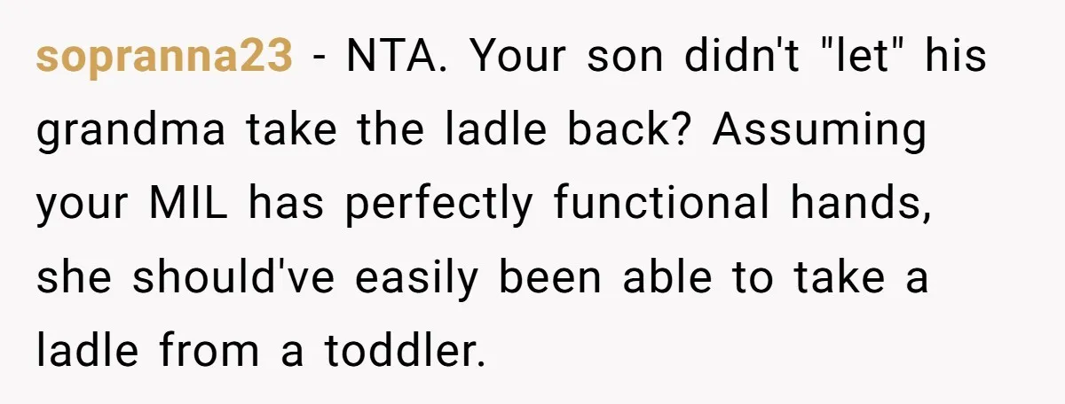 sopranna23 − NTA. Your son didn't "let" his grandma take the ladle back? Assuming your MIL has perfectly functional hands, she should've easily been able to take a ladle from...