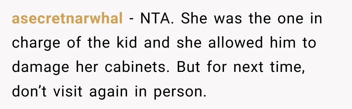 asecretnarwhal − NTA. She was the one in charge of the kid and she allowed him to damage her cabinets. But for next time, don’t visit again in person.