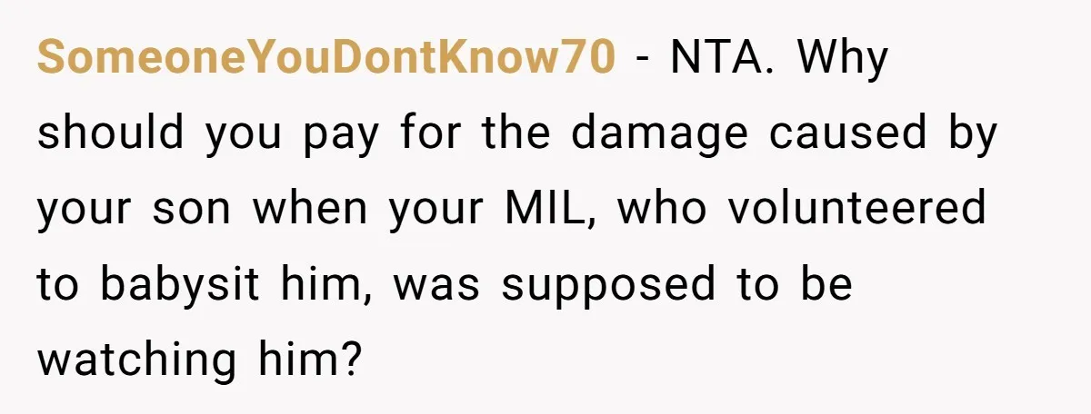 SomeoneYouDontKnow70 − NTA. Why should you pay for the damage caused by your son when your MIL, who volunteered to babysit him, was supposed to be watching him?
